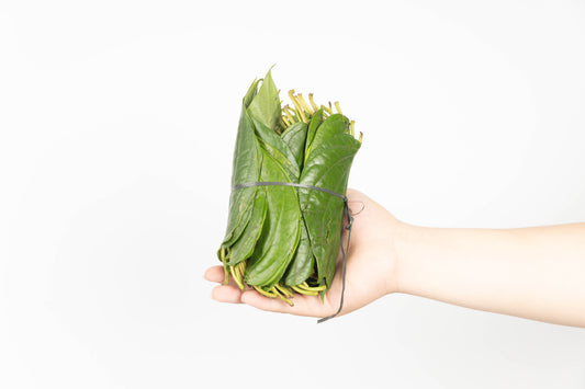 Daun Sirih Biasa