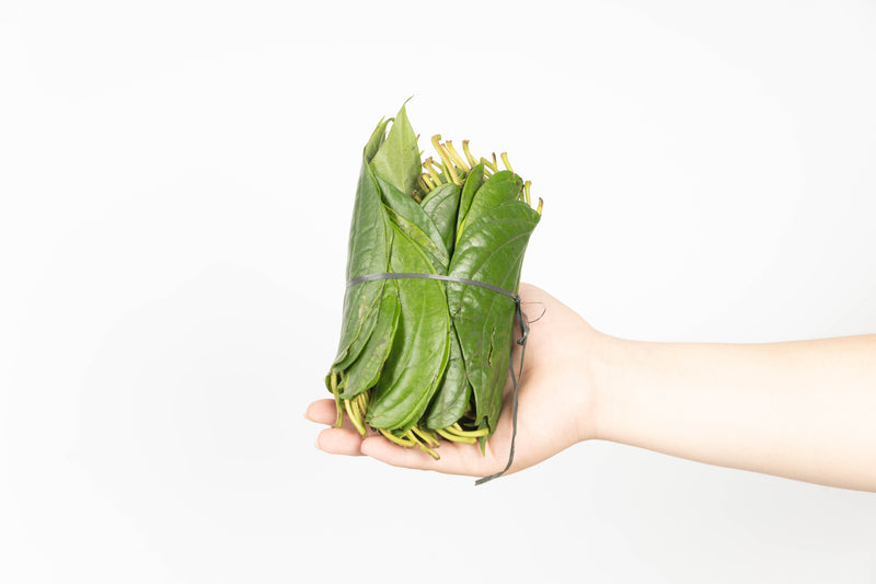 Daun Sirih Biasa