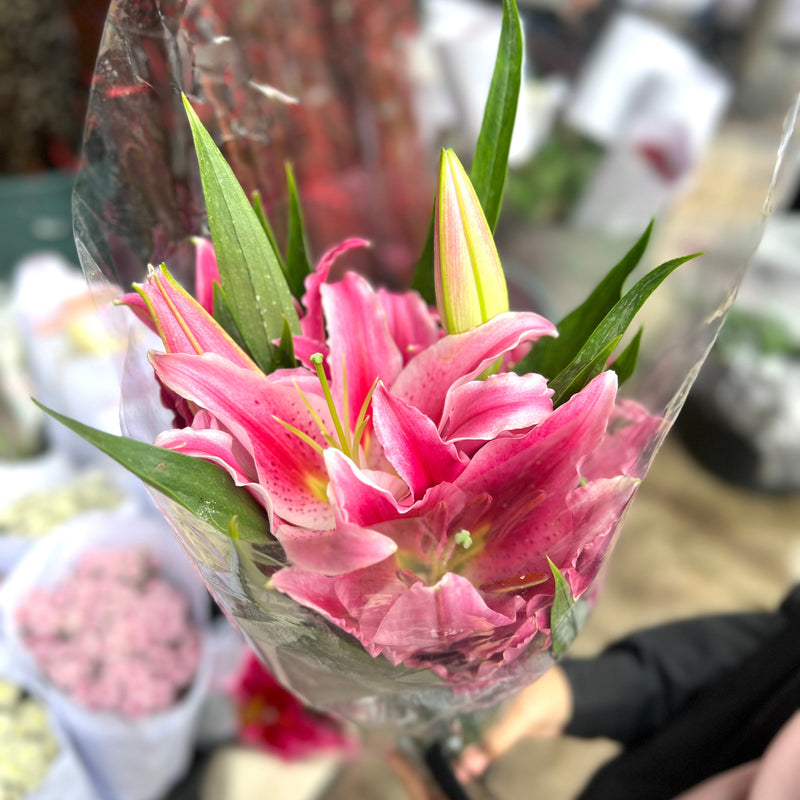 Oriental Lily