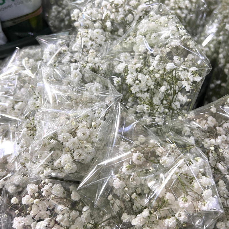 Baby breath