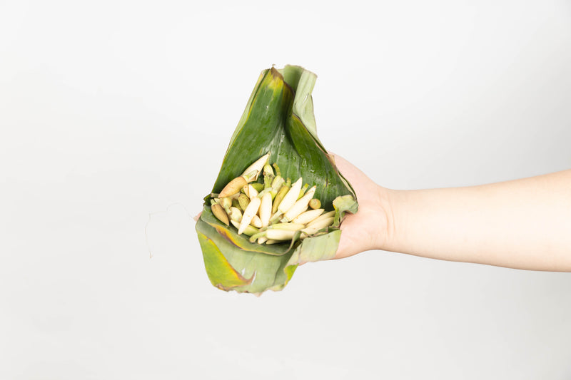 Kantil Atau Cempaka Putih