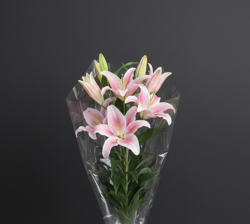 Oriental Lily