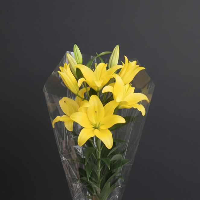 Asiatic Lily